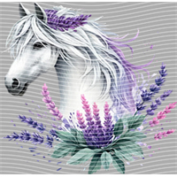 Animal Integration-DW 595